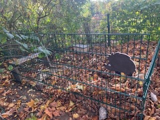 Wir haben Zuwachs | St. Christophorus