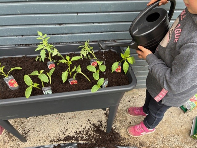 f3ea7bbb-c74c-479d-895a-c0fa7cc472f0